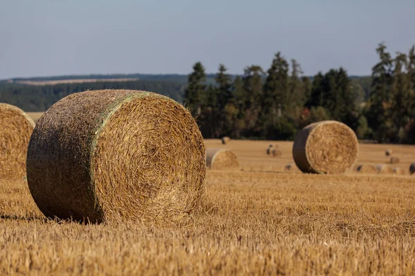 Rolnicze Obszary Wiejskie Bele Polowe — Zdjęcie stockowe