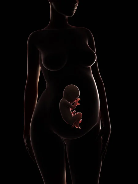 Иллюстрация Беременной Женщины — стоковое фото