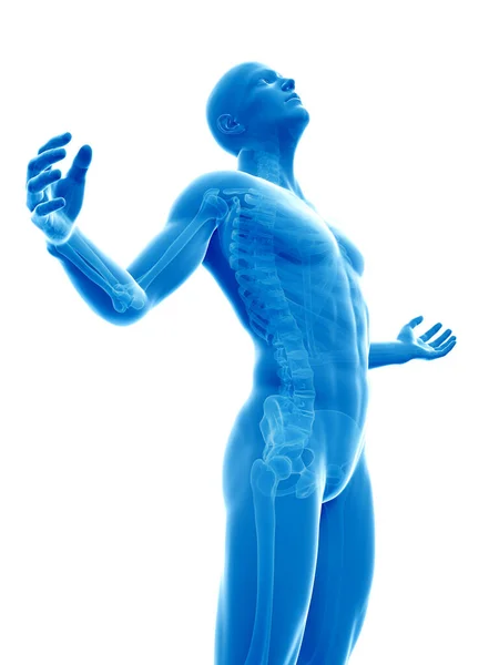 Male Posing Visible Skeleton — Stock Photo, Image