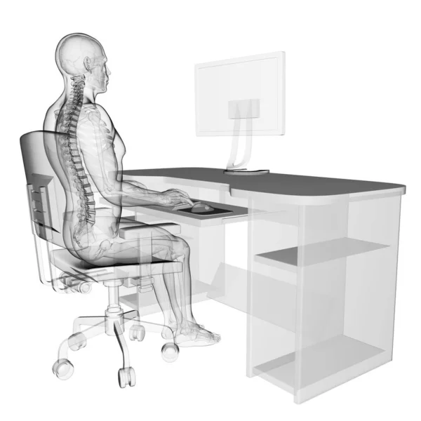 Illustration Médicale Rendue Posture Assise Correcte — Photo