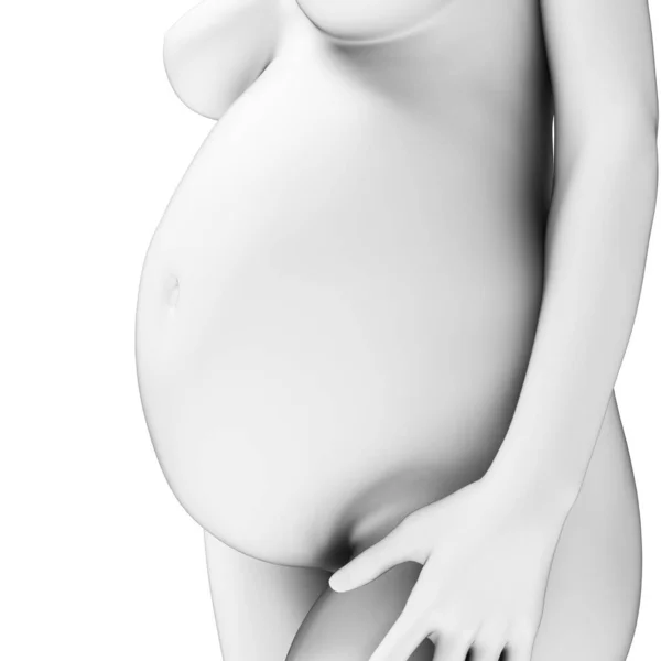 妊娠中の女性の3Dイラスト — ストック写真