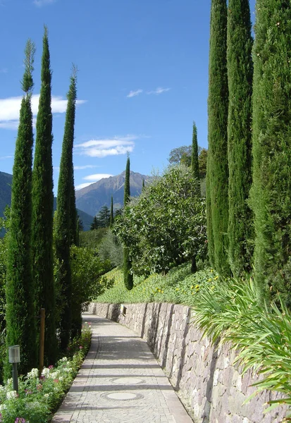 Uitzicht Zuid Tirol Alto Adige Een Provincie Het Noordoosten Van — Stockfoto