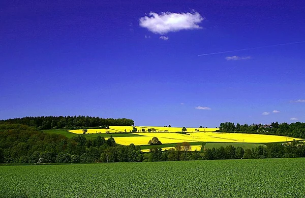 Schöne Aussicht Auf Die Natur — Stockfoto