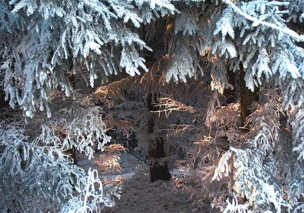 Fondo Colorido Para Navidad Tarjeta Vacaciones Año Nuevo — Foto de Stock