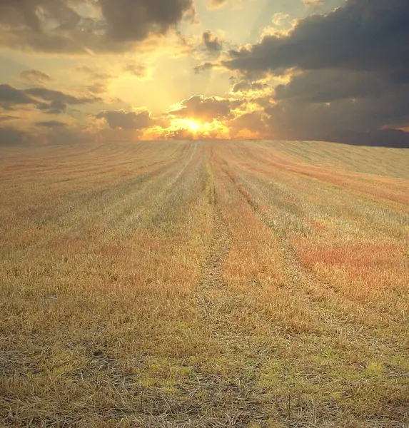 Vue Panoramique Sur Campagne Orientation Sélective — Photo