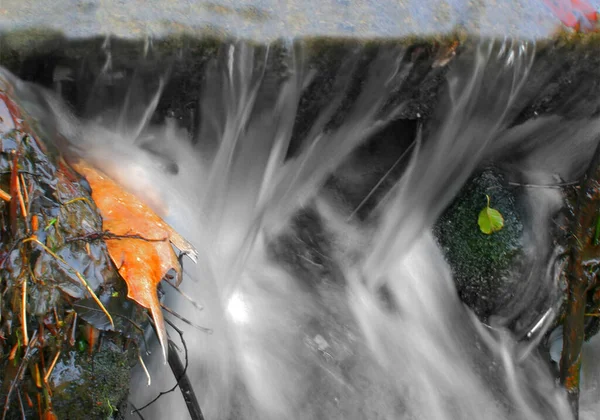 Prachtig Kleurrijk Herfstblad — Stockfoto