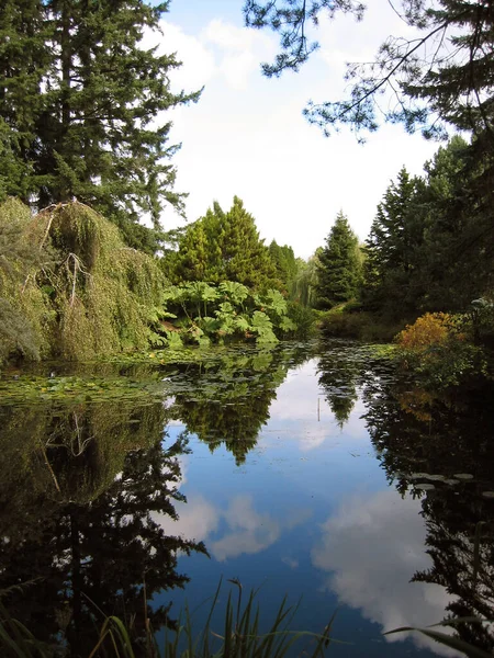 Schöne Aussicht Auf Die Natur — Stockfoto