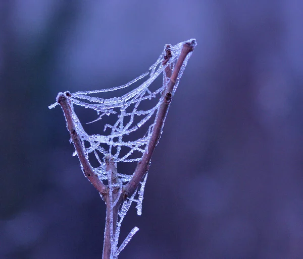 Kleurrijke Achtergrond Voor Kerst Nieuwjaar Vakantie Kaart — Stockfoto