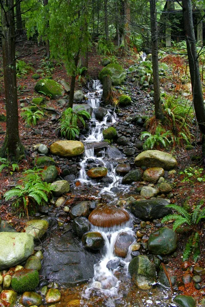 Beautiful View Nature Scene — Stock Photo, Image