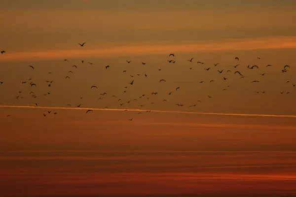 Coucher Soleil Scénique Soir Ciel — Photo