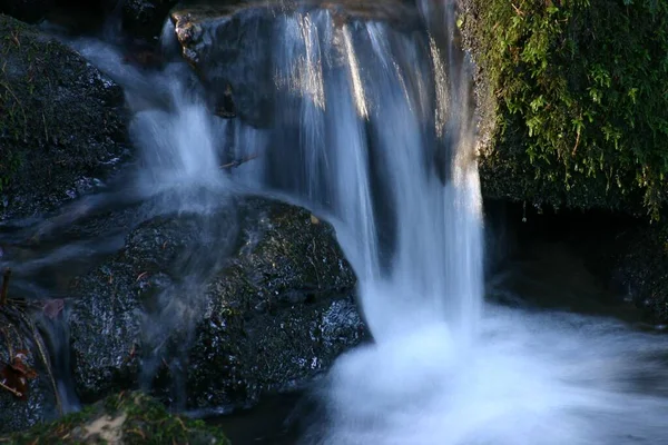 Hermosa Vista Naturaleza Escena — Foto de Stock