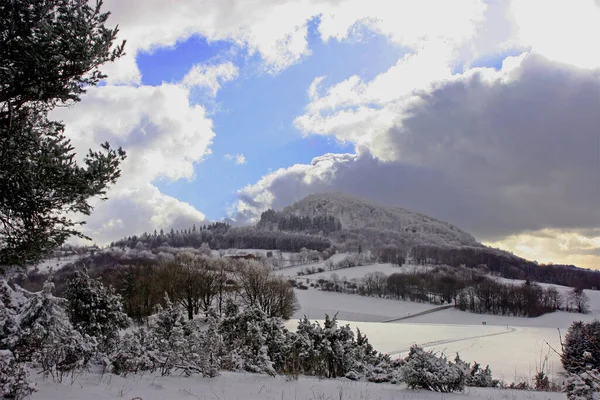 Floresta Inverno Árvores Cobertas Neve — Fotografia de Stock