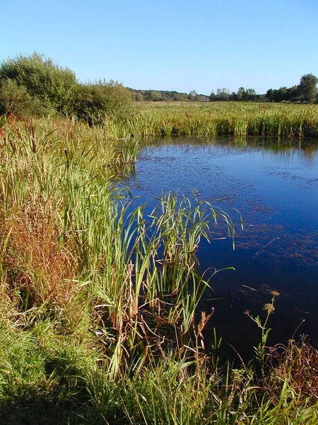 Belle Vue Sur Les Paysages Naturels — Photo