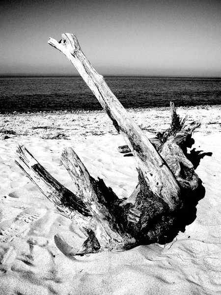 Blick Auf Die Ostsee — Stockfoto