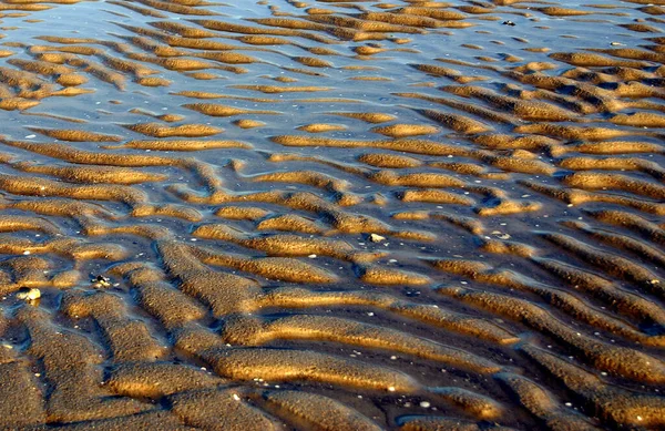 Plage Sable Dans Désert Sahara — Photo