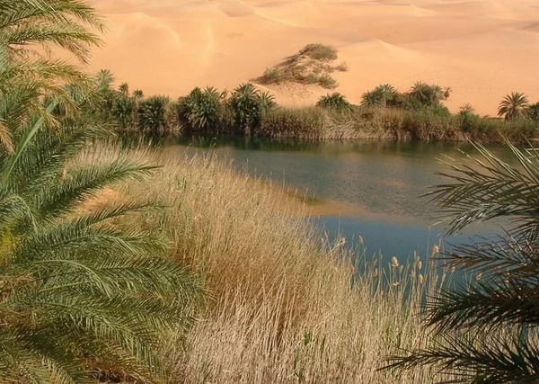 Száraz Táj Sivatagi Mérföldkő — Stock Fotó