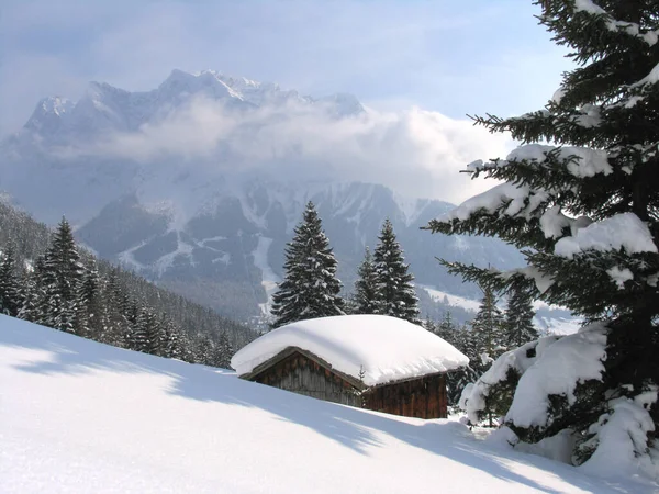 Paysage Hivernal Avec Arbres Enneigés — Photo