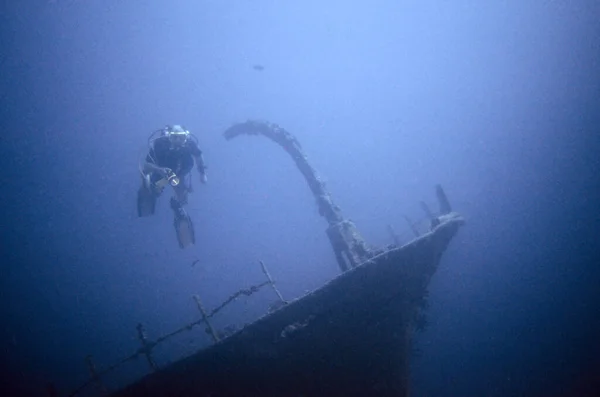 Marine Theme Wallpaper Underwater Shot — Stock Photo, Image