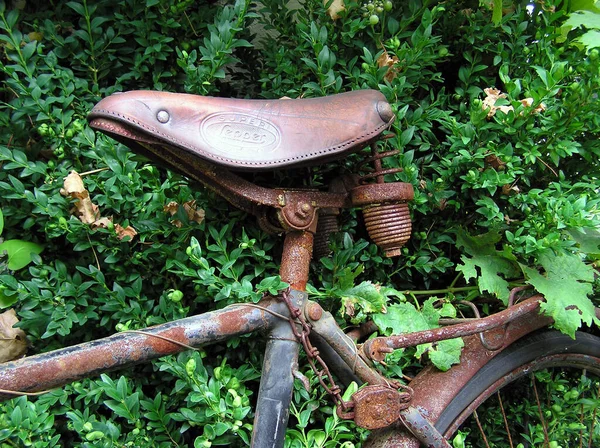 公园里的旧木制长椅 — 图库照片