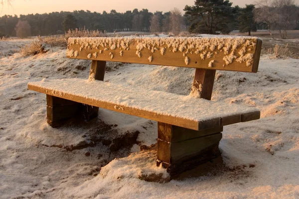 Panchina Parco Nella Neve — Foto Stock