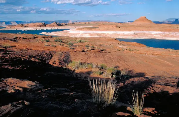 Belle Vue Sur Les Paysages Naturels — Photo