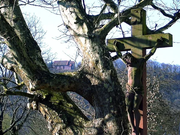 Fotografía Amorbach Odenwald —  Fotos de Stock