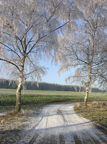 Schöne Aussicht Auf Die Natur — Stockfoto