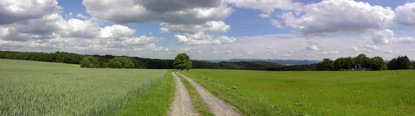 Bingen Rhein Een Gemeente Duitse Deelstaat Rijnland Palts Gelegen Landkreis — Stockfoto