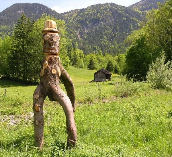 Vista Panorámica Del Hermoso Paisaje Los Alpes — Foto de Stock