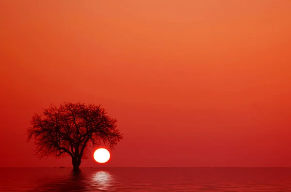 Красный Закат Над Озером — стоковое фото