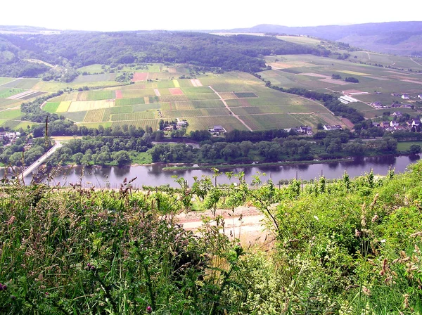 Moselle River Flows France Luxembourg Germany — Stock Photo, Image