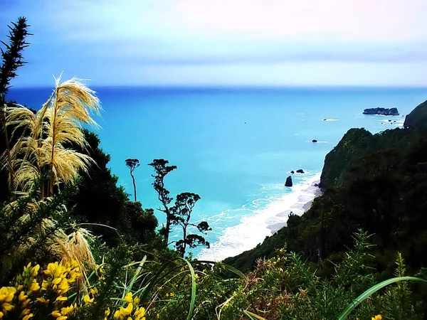 West Coast New Zealand — 스톡 사진