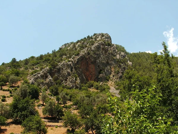 Bella Vista Sulla Natura — Foto Stock