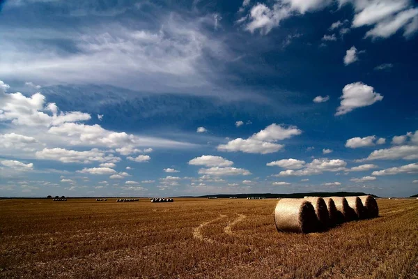 Kukoricamező Bálákkal Mezőgazdaság — Stock Fotó