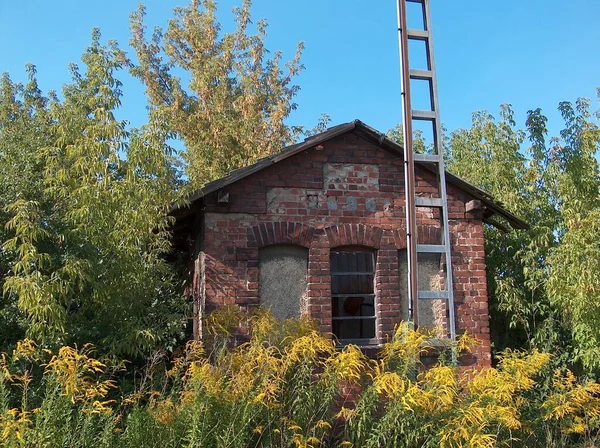 Just Wanted Show You What Old Building Looks Summer — Stock Photo, Image