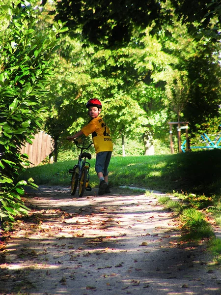 Junge Frau Mit Fahrrad Wald — Stockfoto