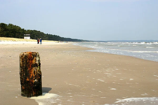 Tronco Albero Sulla Spiaggia — Foto Stock