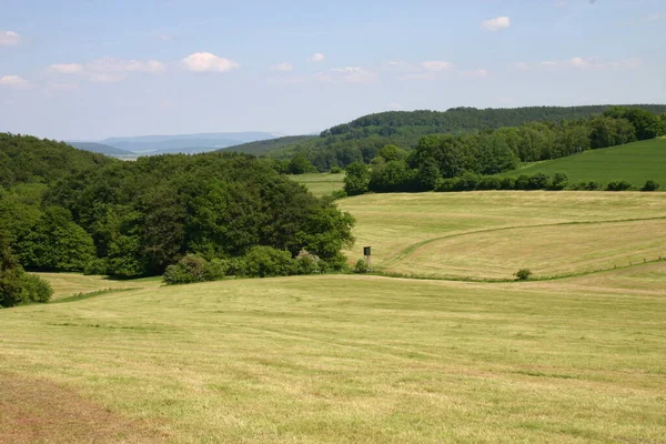 Landschaft Mit Grünem Gras Und Blauem Himmel — Stockfoto