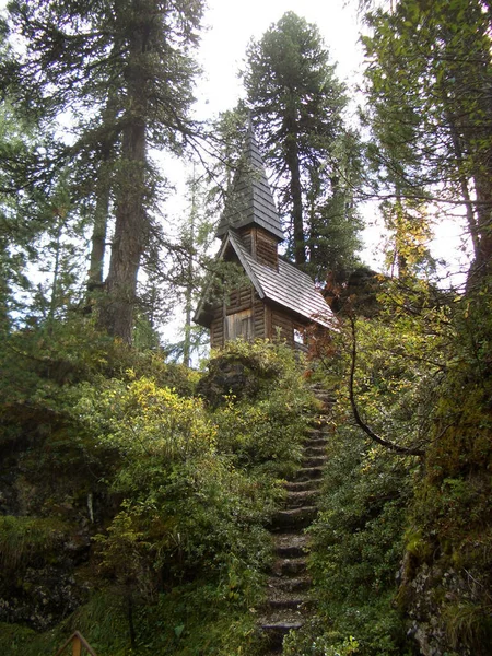 Chapelle Dans Forêt — Photo