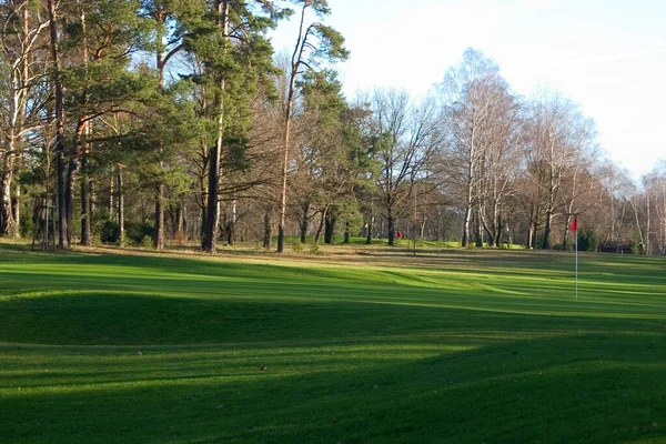 Golf Oyuncuların Bir Golf Sahasında Topları Mümkün Olduğunca Vuruşta Bir — Stok fotoğraf