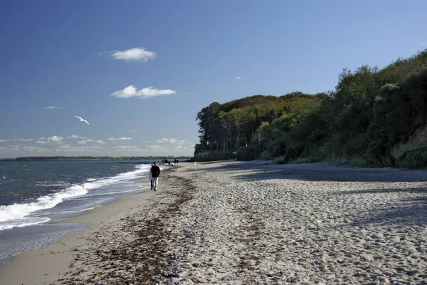 Spaziergänger Osteestrand Bei Heiligendamm — Stockfoto