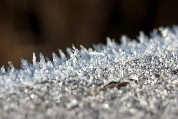 Cristales Hielo Heladas Invierno — Foto de Stock
