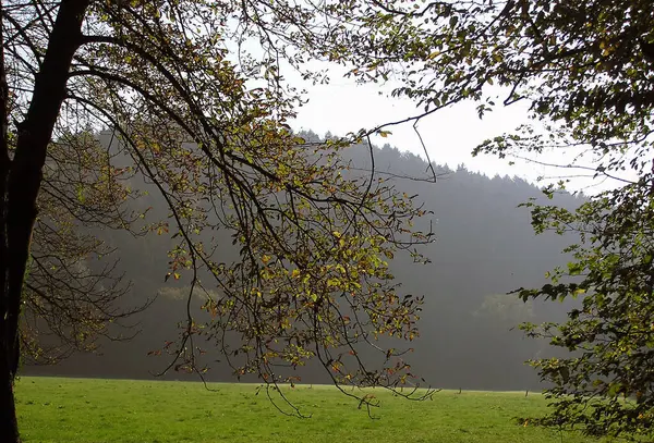 Zondagochtend Acht Uur — Stockfoto