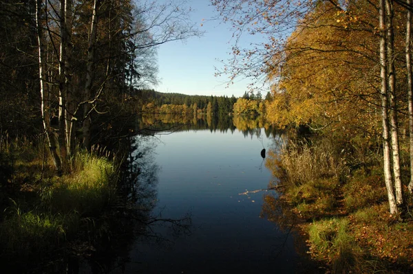 Озеро Осенью — стоковое фото