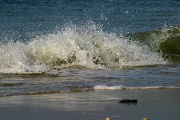 Viendo Las Olas — Foto de Stock