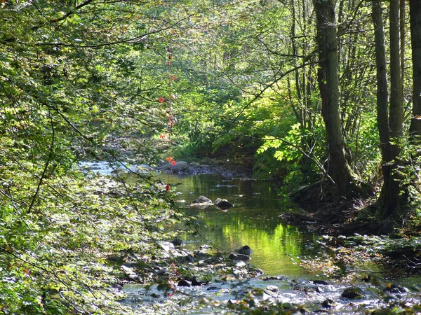 Prachtig Uitzicht Natuur Scene — Stockfoto