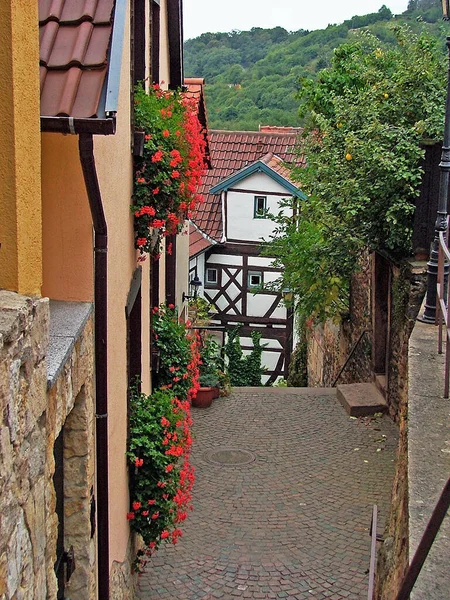 Alte Häuser Der Stadt Colmar Elsass — Stockfoto