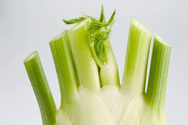 Close Dari Makanan Selektif Fokus — Stok Foto