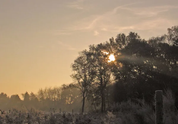 Sabah Berbat Bir Soğuk Vardı Ama Doğanın Her Birkaç Dakikada — Stok fotoğraf