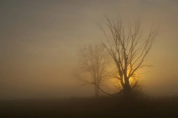 Die Nebel Von Avalon — Stockfoto